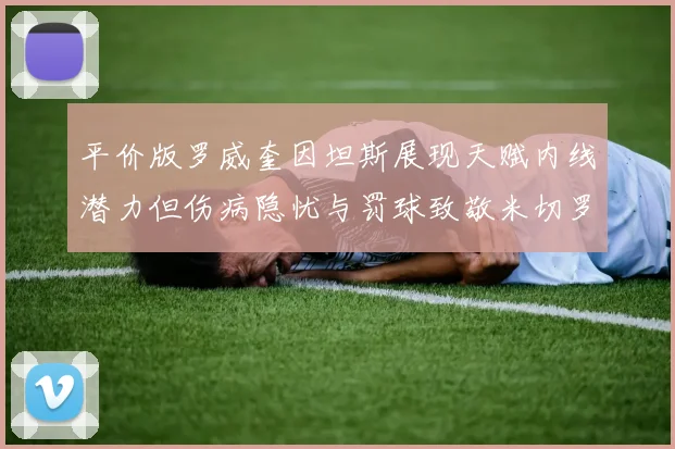 平价版罗威奎因坦斯展现天赋内线潜力但伤病隐忧与罚球致敬米切罗